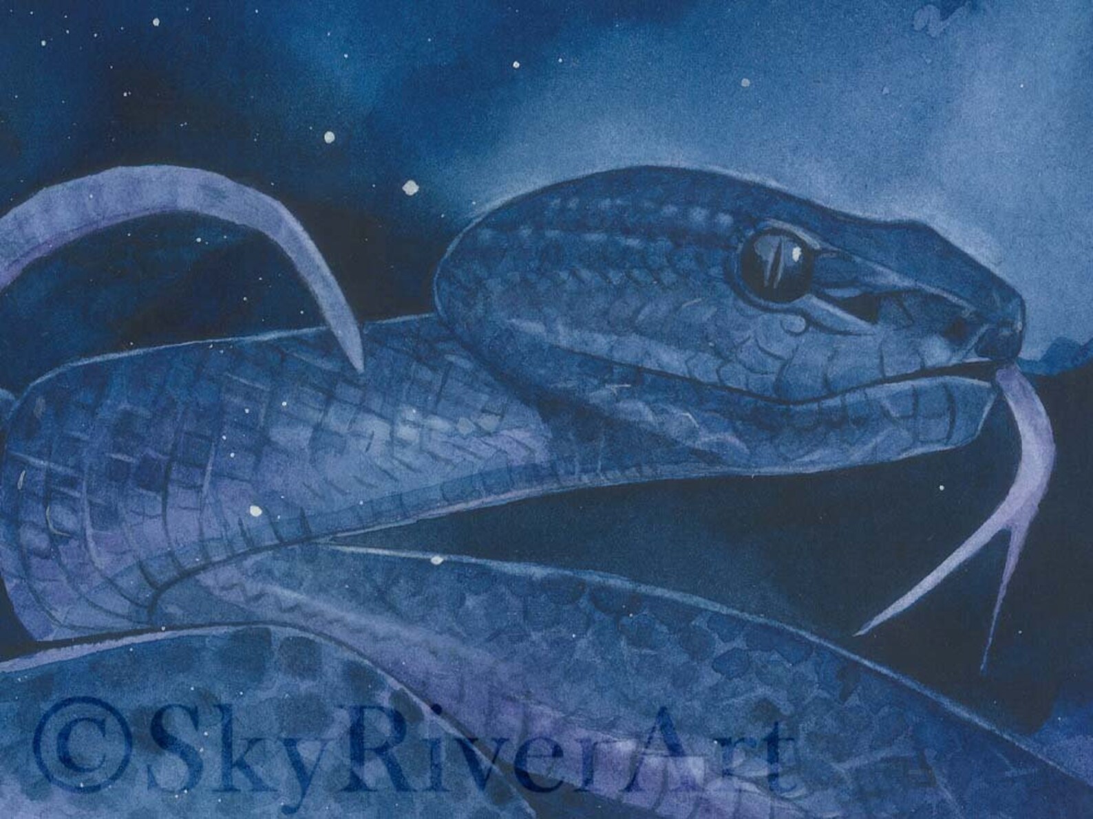 SNAKE SPIRIT ANIMAL Shamanic Fine Art Print A4 | Etsy