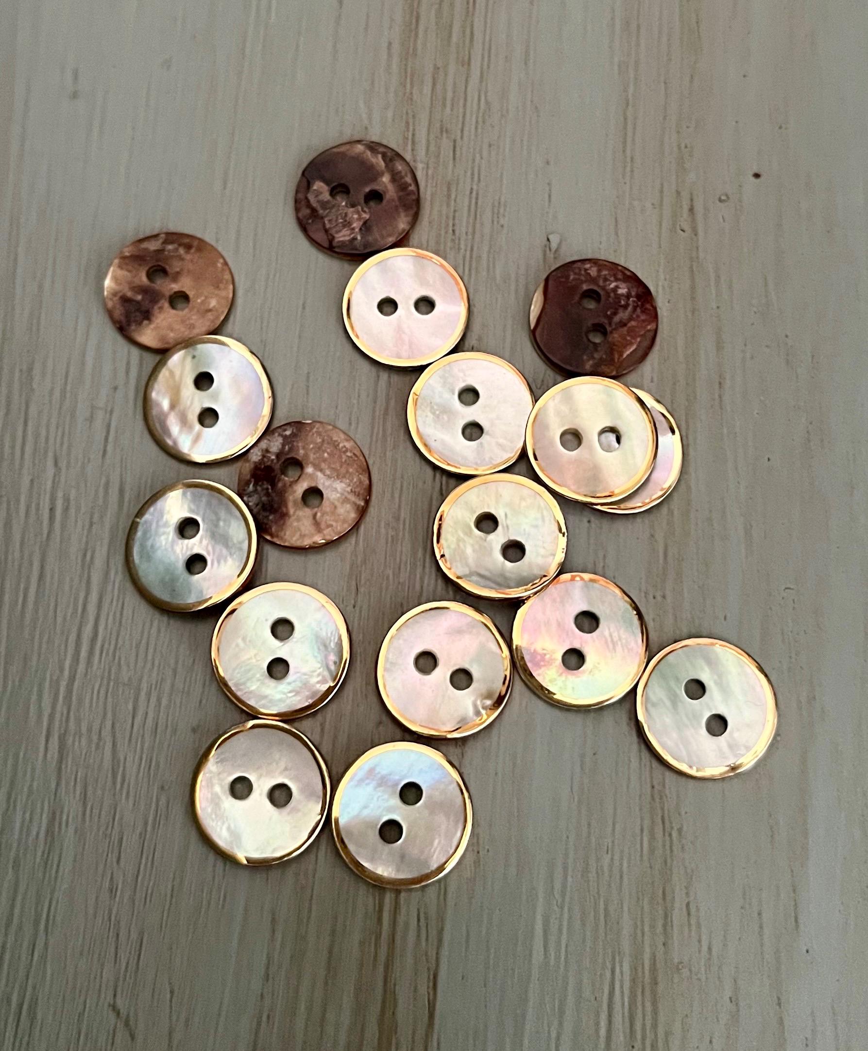 Iridescent Sea Shell Buttons 11.5mm Natural Seashell Colorful Gold Trim ...