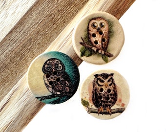 Woodland Owl Naturalist Buttons 30mm 4 Eye (5 piece set)