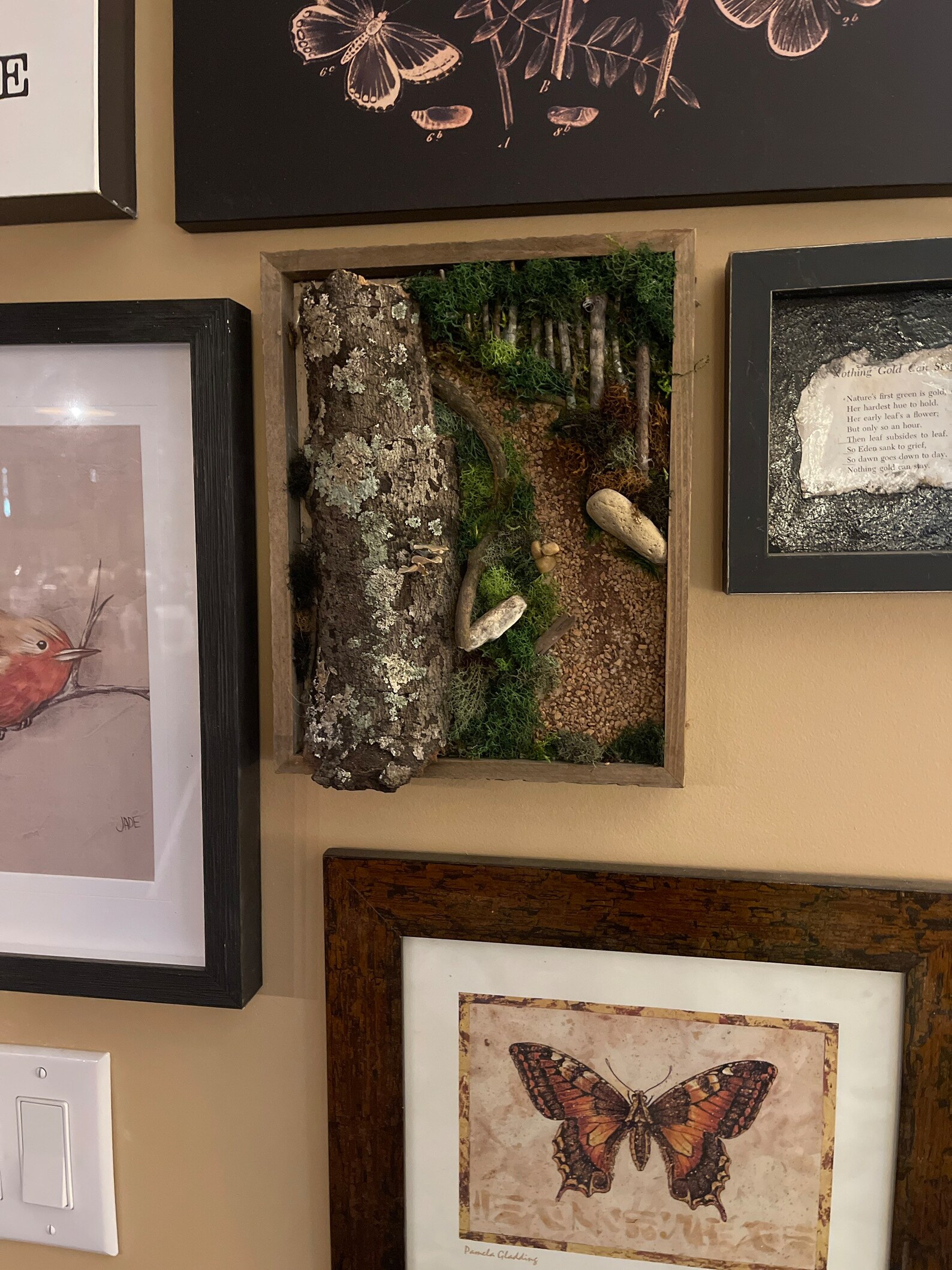 Framed Mossscape Walk In The Woods Moss Wall Art Low Photo Inspiration