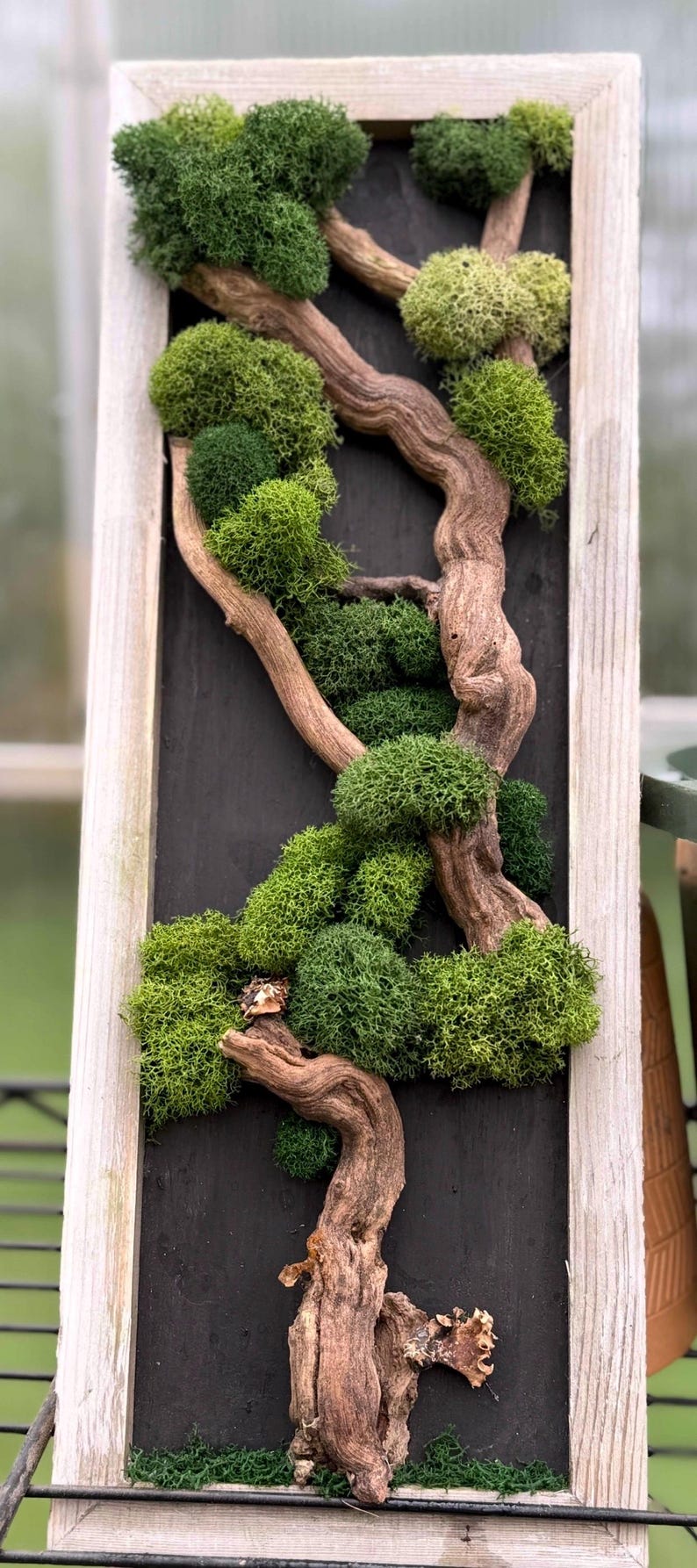 Photo inspiration: Fresh Look at Framed Mossscape Walk In The Woods Moss Wall Art Low