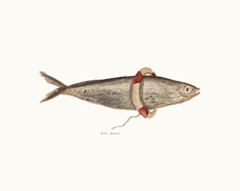 Pintura de sardinas en acuarela: lámina de arte marítimo portugués