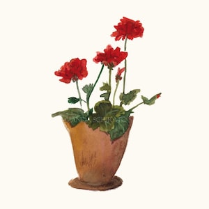 Red Geranium Watercolor Painting: Botanical Still Life Art Print