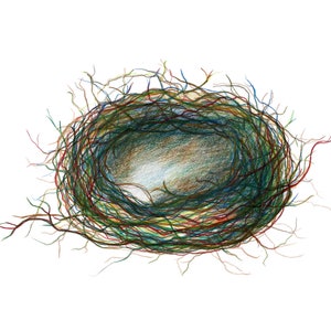 Lege vogelnest kleurpotlood kunst | Downloadbare afdrukbare kunst