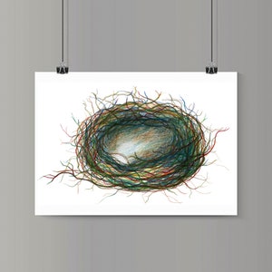 Puede incluir: Un dibujo a l&aacute;piz detallado de un nido de p&aacute;jaro hecho con l&iacute;neas de colores. El nido est&aacute; vac&iacute;o y parece estar hecho de ramitas y ramas.