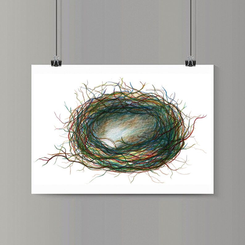 Puede incluir: Un dibujo a l&aacute;piz detallado de un nido de p&aacute;jaro hecho con l&iacute;neas de colores. El nido est&aacute; vac&iacute;o y parece estar hecho de ramitas y ramas.