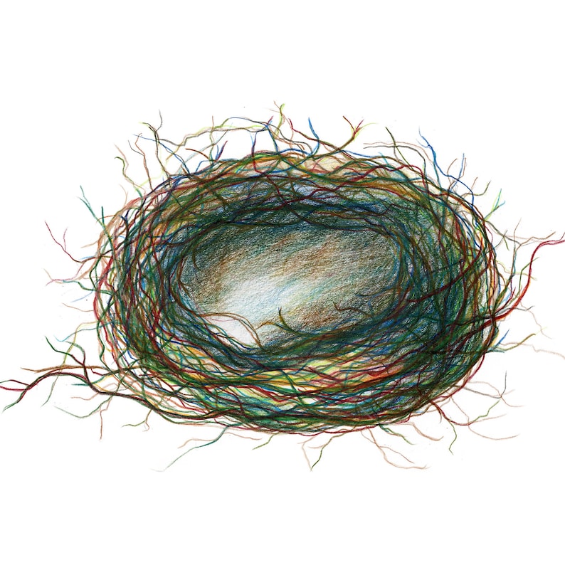 Puede incluir: Un dibujo a l&aacute;piz detallado de un nido de p&aacute;jaro hecho de ramitas y ramas entrelazadas. El nido est&aacute; vac&iacute;o y parece estar hecho de varios tonos de verde, azul, rojo y marr&oacute;n.