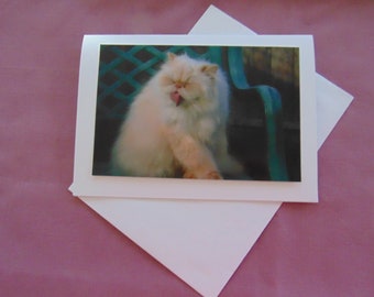 Himalayan cat greeting cards, handmade and blank inside.