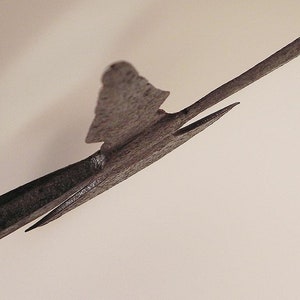 May include: Close-up of a metal arrowhead with a sharp point and a fletching made of feathers.