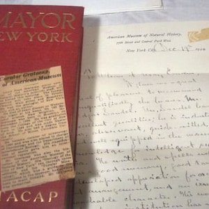 SIGNED L P Gratacap Book Pkg The Mayor of New York, New York History Book, New York Mayors, Collectible Books