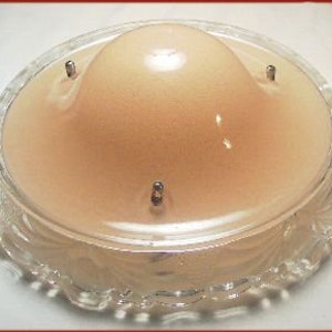 Victorian Pendant Ceiling Light Shade Fixture