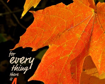 Impression de feuilles d&#39;érable d&#39;automne : verset biblique chrétien inspirant de l&#39;Ecclésiaste 3.4