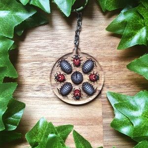 May include: A clear, round keychain featuring a design of various insects, including ladybugs and pill bugs. The insects are arranged in a circular pattern. The keychain has a silver chain and a wooden background.