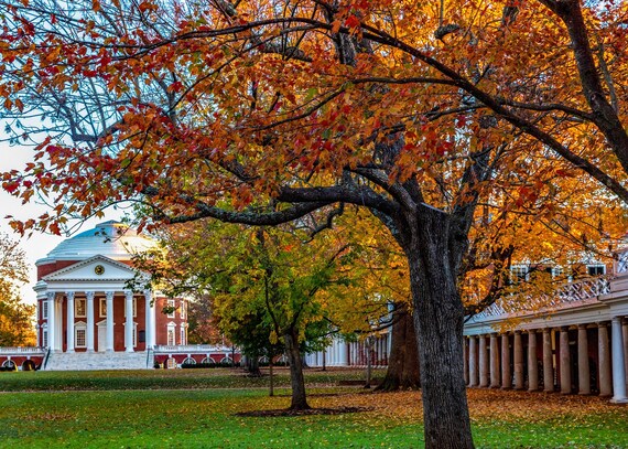 Cavaliers University of Virginia UVA Graduation Gift Charlottesville VA Gift Christmas Photo UVA Serpentine Walls Snow Picture Cavaliers University of Virginia UVA Graduation Gift Charlottesville VA Gift Christmas Photo UVA Serpentine Walls Snow Picture