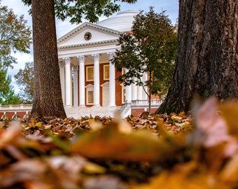 UVA Autumn Leaves Picture | University of Virginia Fall Photo | UVA Graduation Grad Gift | Charlottesville VA Fall Print