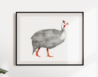 Guinea Fowl watercolour print | Guinea Fowl Illustration, A4 Print, Birds, Illustration, Watercolour, Wall Print, Painting 3