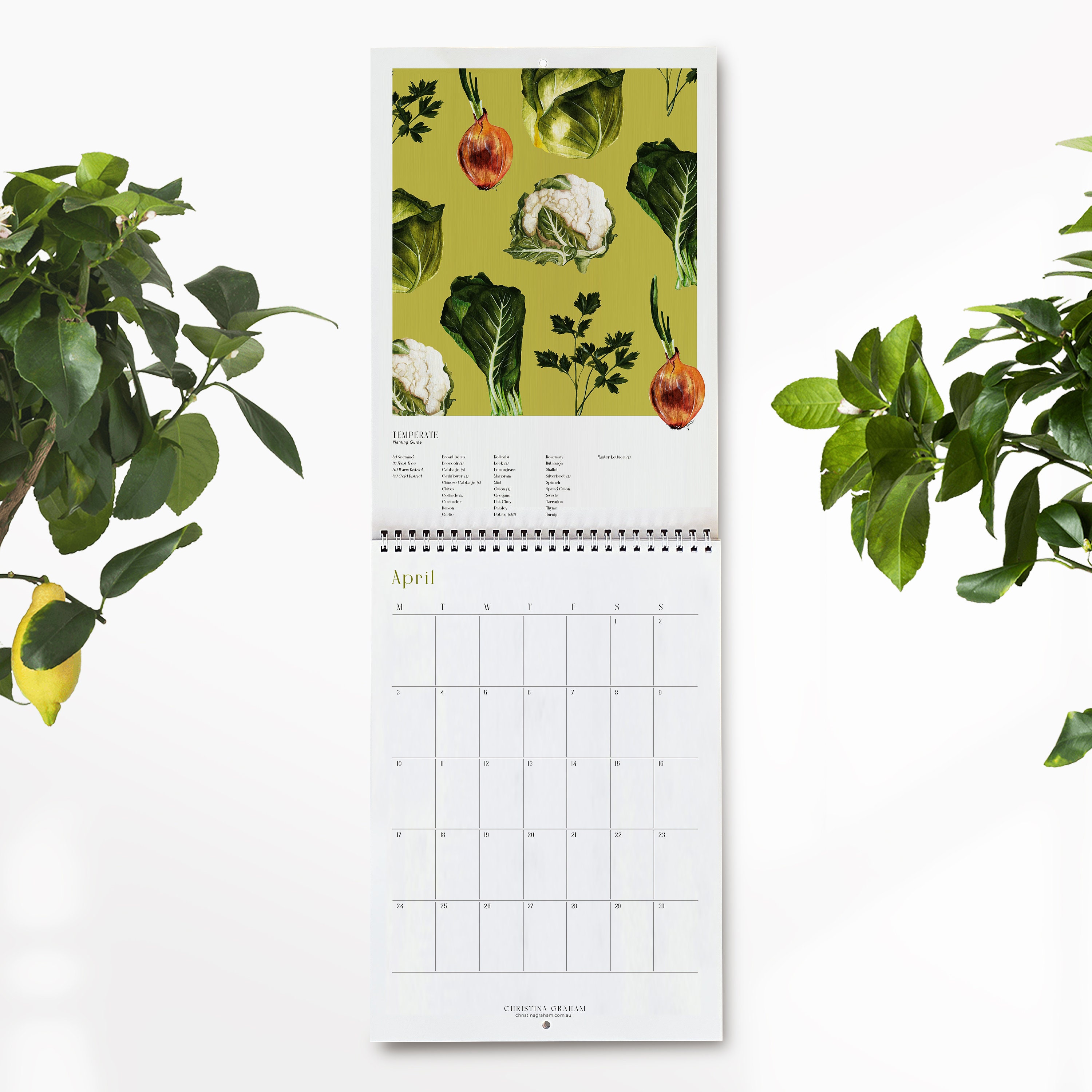 Regional Planting Guide Calendar 2023 Recycled Paper 2023 - Etsy Ireland