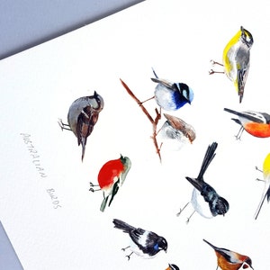 Tasmanian Birds, Watercolour Bird Print, Art Decor, Large Wall Art, Fairy Wrens, Australian Birds, Giclee Print, Animal Print image 6