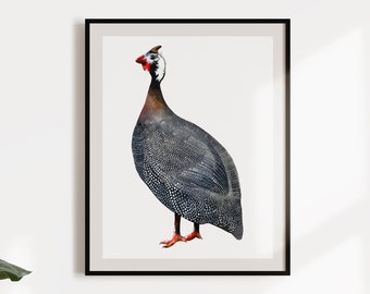 Perlhuhn-Aquarelldruck | Perlhuhn Illustration, A4 Print, Vögel, Illustration, Aquarell, Wandbild, Malerei