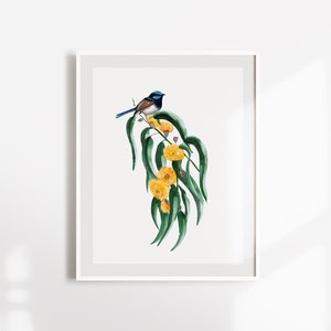 Fairy Wren & Blue Gum | Superb Fairy Wren Native Australian Florals