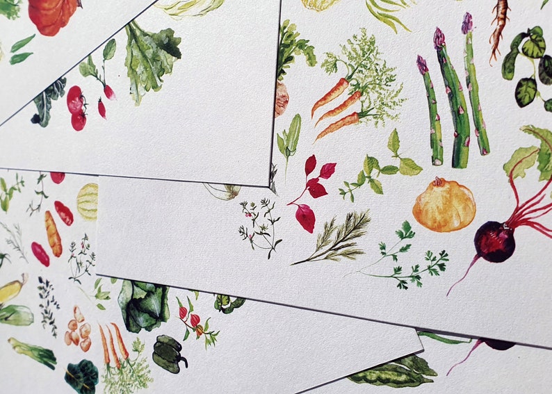 Watercolour Vegetable journaling kit, snail mail kit, diy inspiration kit, scrapbooking, Paper scrap pack, scrapbook paper, craft pack, junk image 3