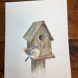Acuarela bluebird con casa