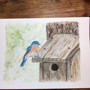 Bluebird en casa