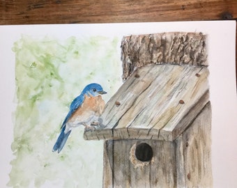 Bluebird at house