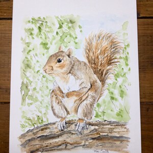 Watercolor Squirrel