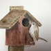 see more listings in the Birds section