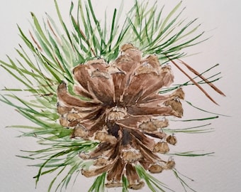 Watercolor pinecone