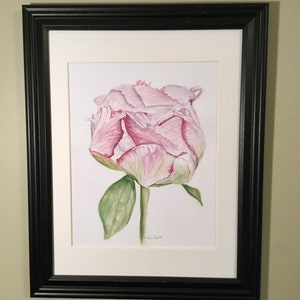 Watercolor pink Peony Flower Bud