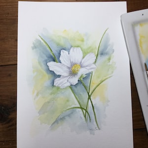 Watercolor daisy