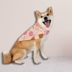Concha Theme Collars - Puttin On The Dog