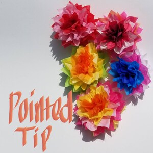 Pu&ograve; includere: Una collezione di fiori di carta velina colorati in tonalit&agrave; di rosso, rosa, arancione, giallo e blu. I fiori sono disposti su uno sfondo bianco con le parole "Pointed Tip" in arancione.