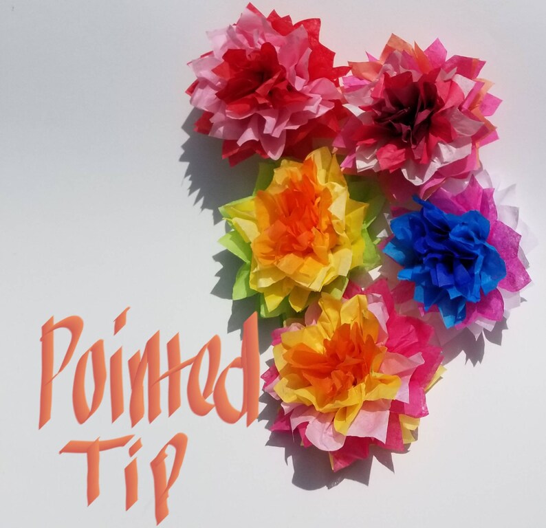 Pu&ograve; includere: Una collezione di fiori di carta velina colorati in tonalit&agrave; di rosso, rosa, arancione, giallo e blu. I fiori sono disposti su uno sfondo bianco con le parole "Pointed Tip" in arancione.