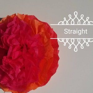 May include: A vibrant, layered paper flower in shades of red, orange, and pink. The flower is centered in the frame, with the word "Straight" in white text. The background is a plain white surface.