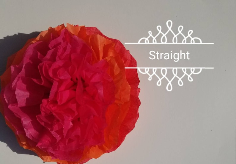May include: A vibrant, layered paper flower in shades of red, orange, and pink. The flower is centered in the frame, with the word "Straight" in white text. The background is a plain white surface.