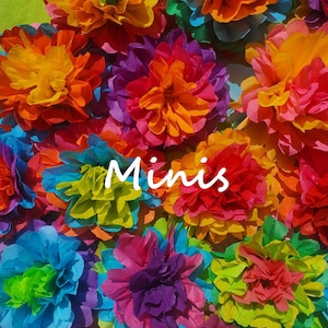 May include: A vibrant assortment of colorful paper flowers in shades of red, orange, yellow, green, blue, and purple. The word "Minis" is written in white script across the image. These decorative flowers are ideal for crafting and party decorations.