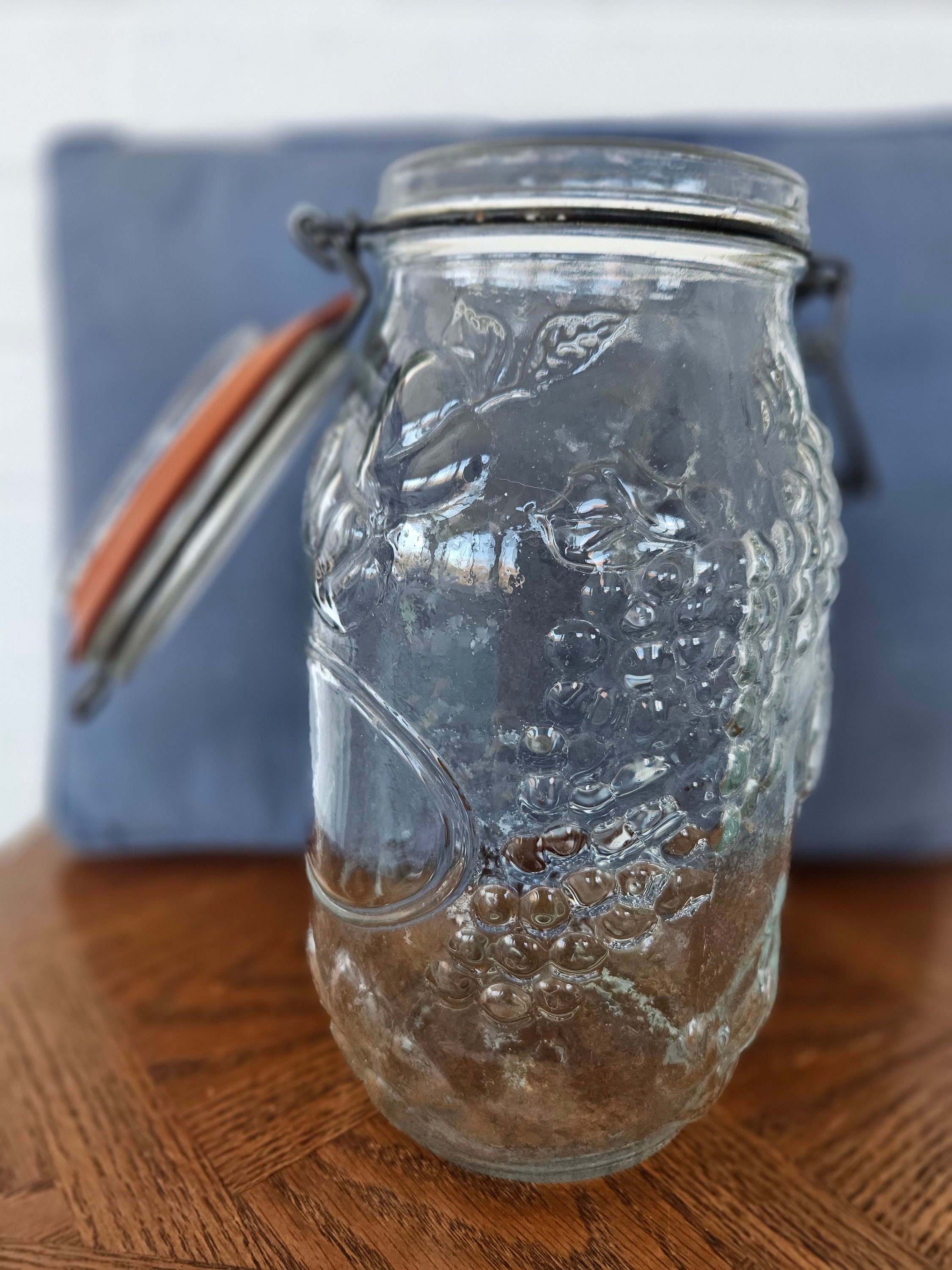 47th & Main Decorative Storage Glass Jar with Lid, Small, Embossed