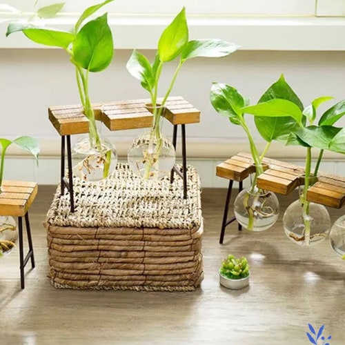 Wood Hygge Glass Vase Wood Set Water Plant Glass Vase Home Etsy