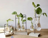 Simple Hygge Glass Vase Wood Set, Water Plant, Glass Vase, Home Decor, Office Decor, Planters, Gift Idea, Succulent, Terrariums, Mini Vase