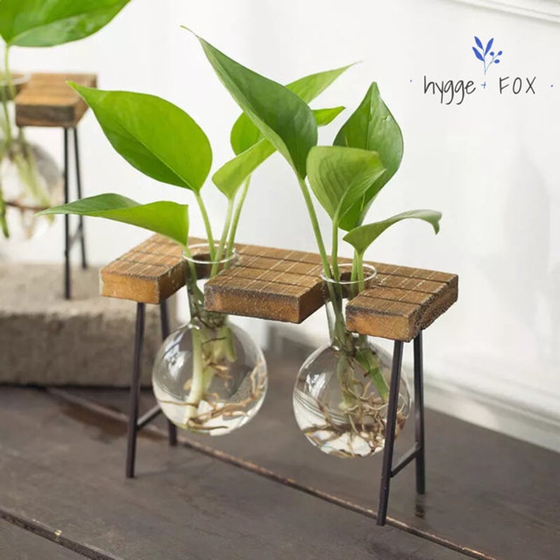 Simple Glass Vase Wood Set Water Plant Glass Vase Home Etsy