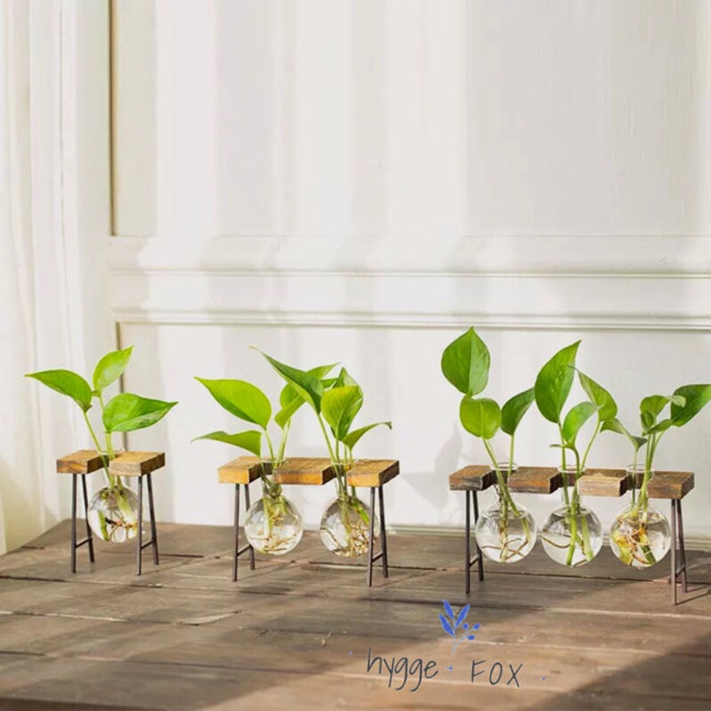 Simple Glass Vase Wood Set Water Plant Glass Vase Home Etsy