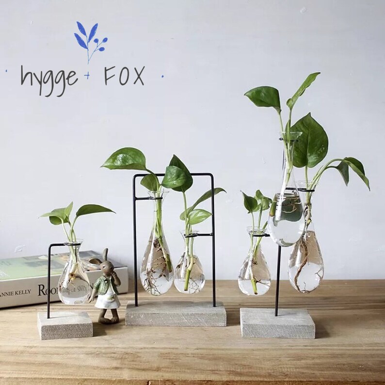Simple Hygge Glass Vase Wood Set Water Plant Glass Vase Etsy