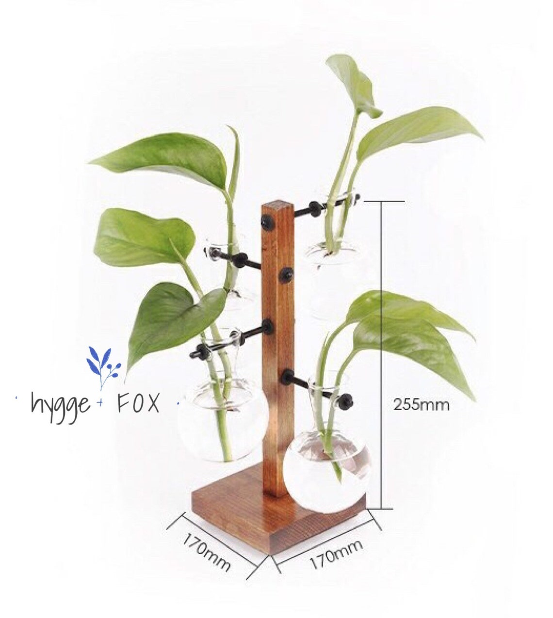 Unique 4ways Glass Vase Wood Set Water Plant Glass Vase Etsy