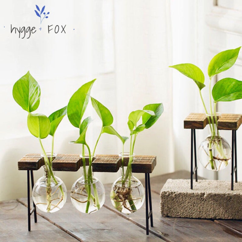 Simple Glass Vase Wood Set Water Plant Glass Vase Home Etsy