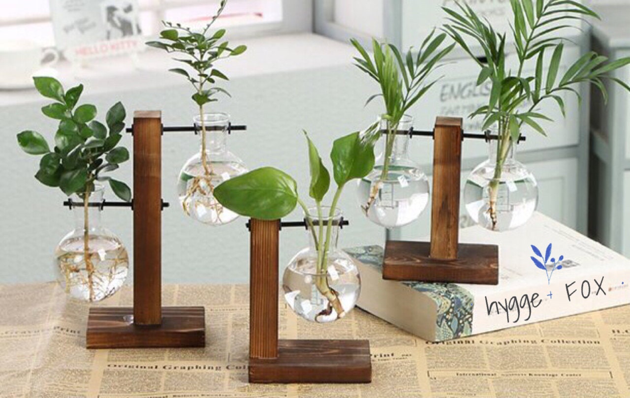 Wood Hygge Glass Vase Wood Set Water Plant Glass Vase Home Etsy