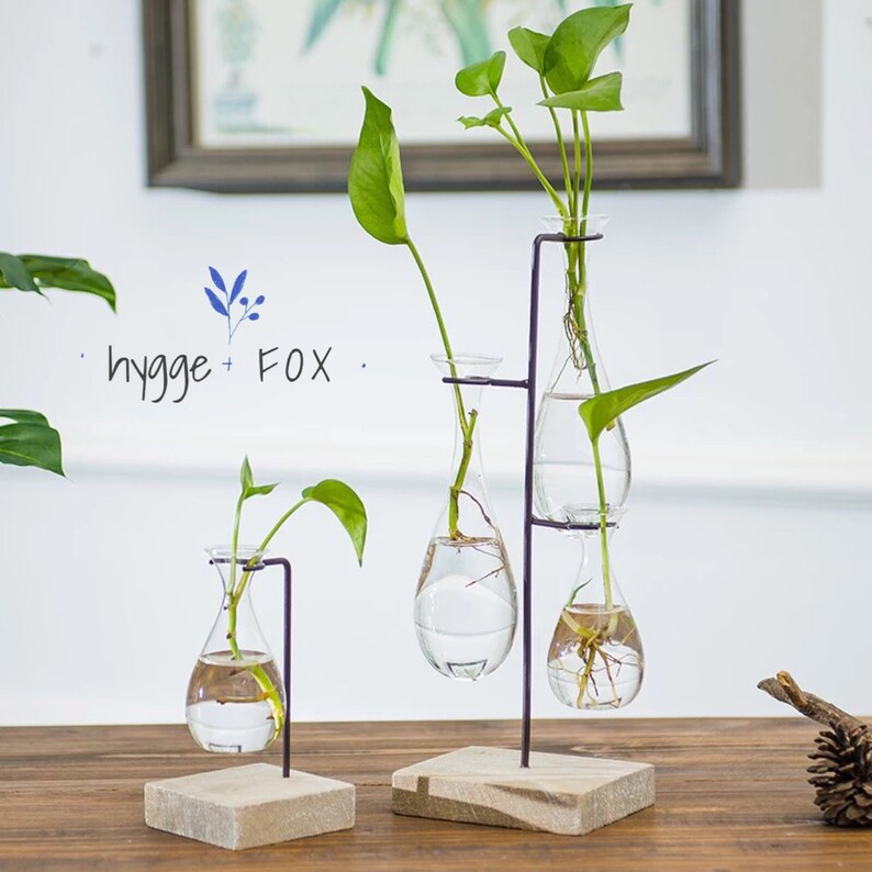Simple Hygge Glass Vase Wood Set Water Plant Glass Vase Etsy