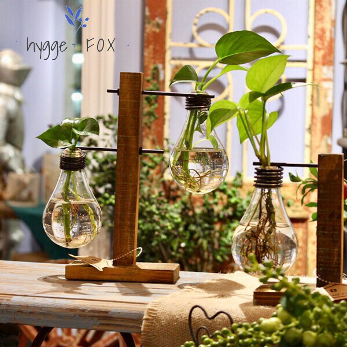 Light Bulb Vase Wood Set Water Plant Glass Vase Home Decor Etsy